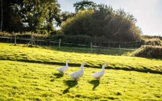Franandollieblackstockcountyestateweddingthesoulofmylenswedd at Blackstock Country Estate