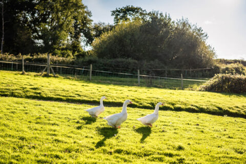 Countryside Wedding Venue Near Eastbourne