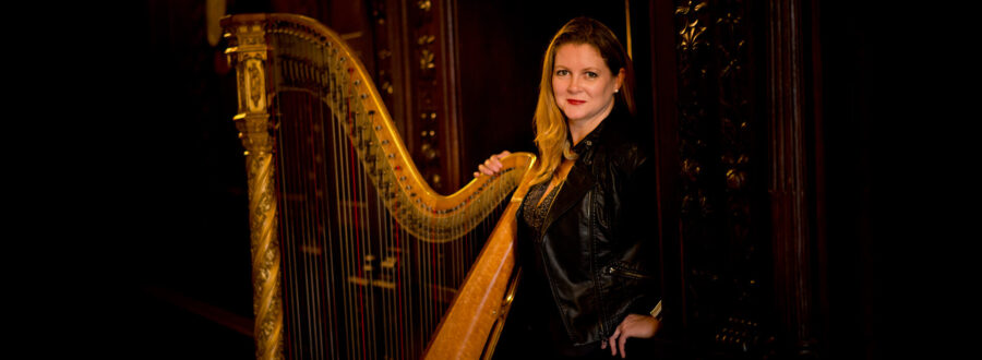 Harpist Sussex Hero 900X330 at Blackstock Country Estate